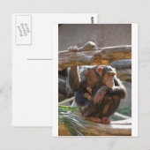 Mutter und Baby Postkarte (Vorne/Hinten)