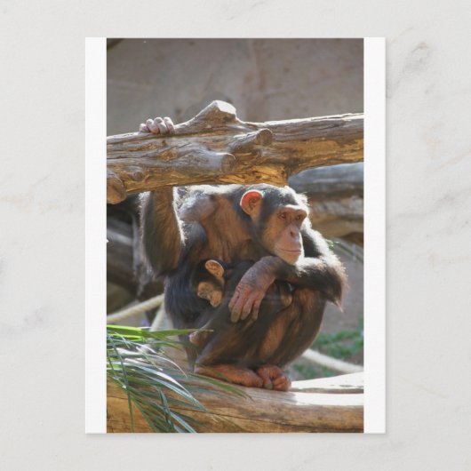 Mutter und Baby Postkarte (Vorderseite)