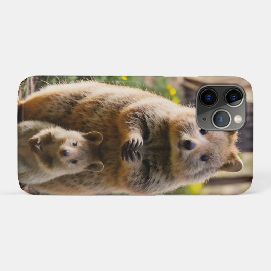 Mutter und Baby Quokka, Case-Mate iPhone Hülle (Rückseite (Horizontal))