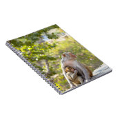 Mutter und Baby Rhesus Macaque Affen an Wand Notizblock (Rechte Seite)