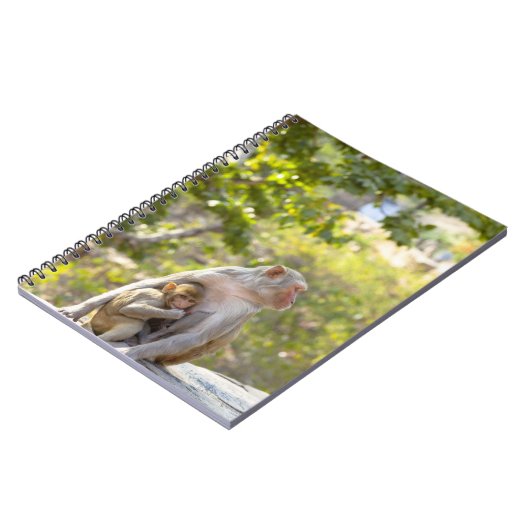 Mutter und Baby Rhesus Macaque Affen an Wand Notizblock (Linke Seite)