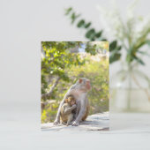 Mutter und Baby Rhesus Macaque Affen an Wand Postkarte (Stehend Vorderseite)