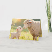 "Mutter und Baby-Schaf" Grußkarte Karte (Vorderseite)