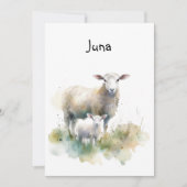 Mutter und Baby Schafe, Frühjahr Neugeborene, kund Einladung (Vorderseite)