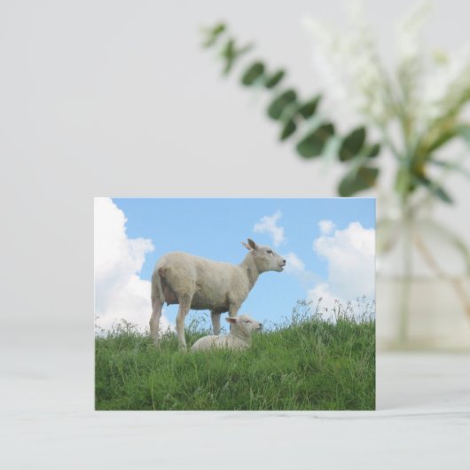 Mutter und Baby Sheep Spring PostCard Postkarte (Stehend Vorderseite)
