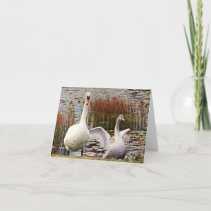 Mutter und Baby Swan Blank Inside Notecard Dankeskarte