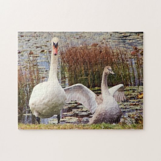 Mutter und Baby Swan Niedlich Jigsaw Puzzle Wildli (Horizontal)