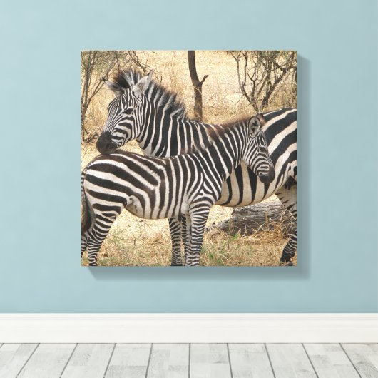 Mutter und Baby Zebra Canvas Print Leinwanddruck (Insitu (Holzboden))