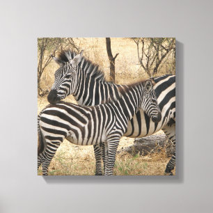 Mutter und Baby Zebra Canvas Print Leinwanddruck