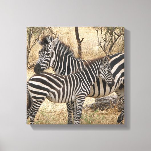 Mutter und Baby Zebra Canvas Print Leinwanddruck (Vorderseite)