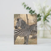 Mutter und Baby Zebra Postcard Postkarte (Stehend Vorderseite)