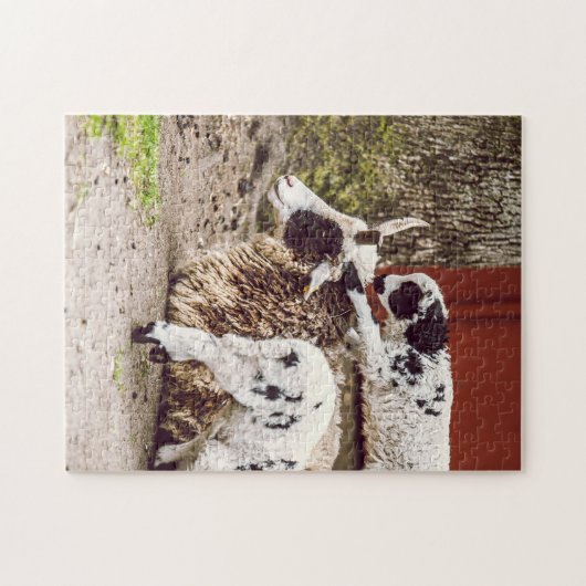 Mutter- und Babyfotografie Puzzle (Horizontal)