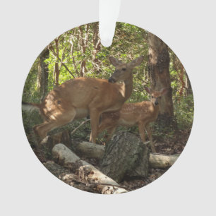 Mutter und Babyhirsch im Shenandoah-Nationalpark Ornament