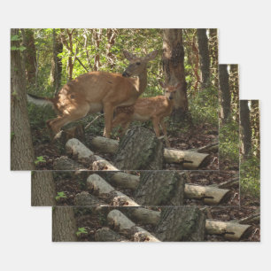 Mutter und Babyreh im Shenandoah-Nationalpark Geschenkpapier Set