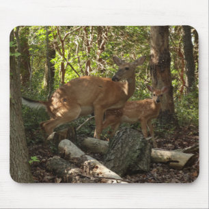 Mutter und Babyreh im Shenandoah-Nationalpark Mousepad