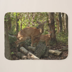 Mutter und Babyreh im Shenandoah-Nationalpark Sherpadecke