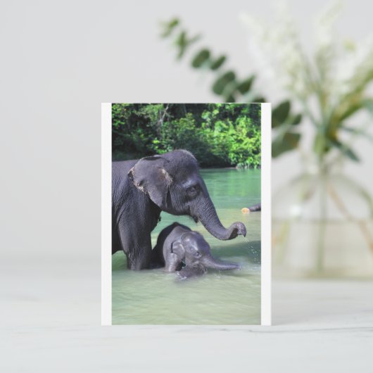 Mutter und Elefant im Fluss Postkarte (Stehend Vorderseite)