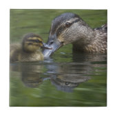 Mutter-und Entlein-Fliese Fliese (Vorderseite)