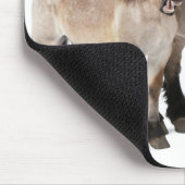 Mutter und Fohlen lächeln, belgisches Pferd, belgi Mousepad (Ecke)