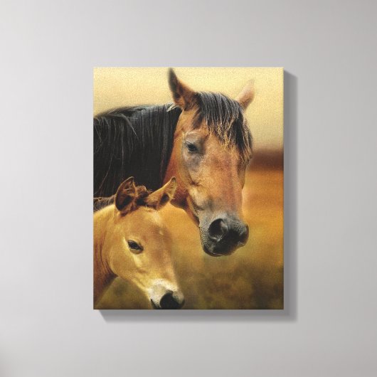 Mutter und Fohlen Leinwanddruck (Vorderseite)