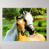 Mutter und Fohlen Poster (Vorne)
