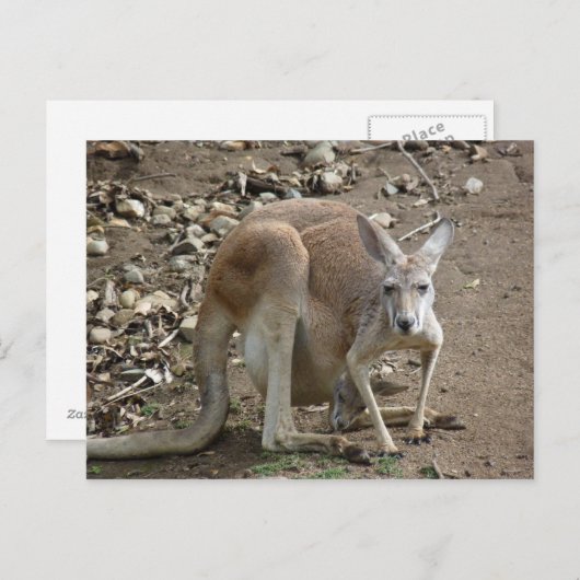 Mutter und Freude Postkarte (Vorne/Hinten)