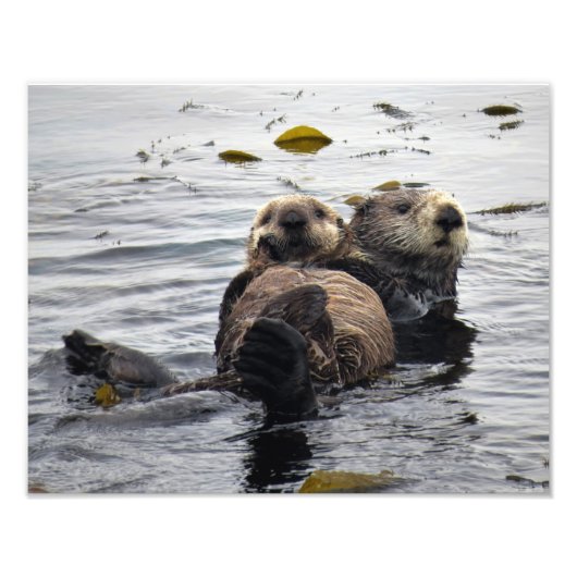 Mutter und Jungtier Seeotter Fotodruck (Vorne)