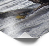 Mutter und Jungtier Seeotter Fotodruck (Ecke)