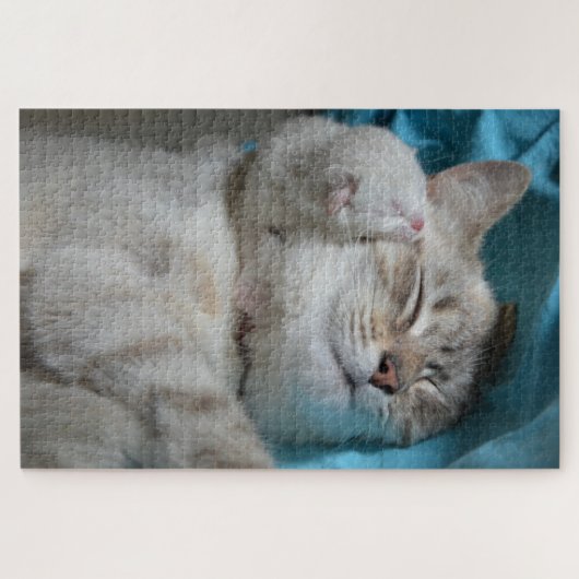 Mutter und Kätzchen Puzzle (Horizontal)