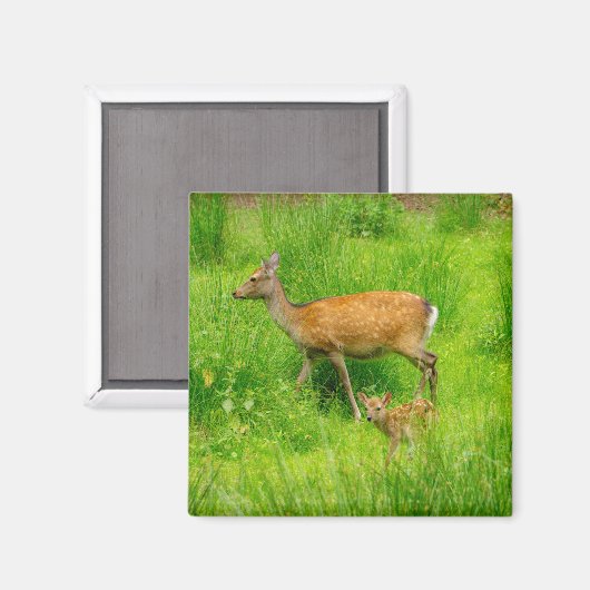 Mutter und Kind - Brachhirsche mit jungen Magnet (Vorderseite/Rückseite)