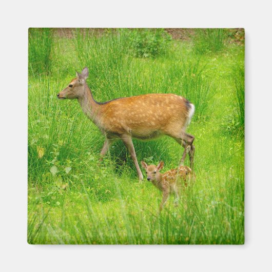 Mutter und Kind - Brachhirsche mit jungen Magnet (Vorne)