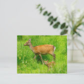 Mutter und Kind - Brachhirsche mit jungen Postkarte (Stehend Vorderseite)