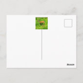 Mutter und Kind - Brachhirsche mit jungen Postkarte (Rückseite)