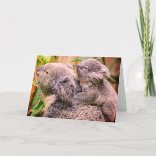 Mutter und Kind Koala-Bär gefaltete Grußkarte Karte