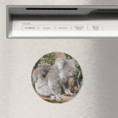 Mutter und Kind Magnet (In Situ (Geschirrspüler))