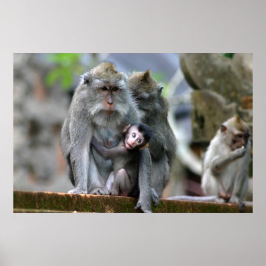 Mutter und Kind Poster (Vorne)