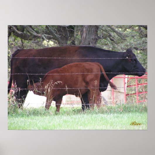 Mutter und Kind Poster (Vorne)