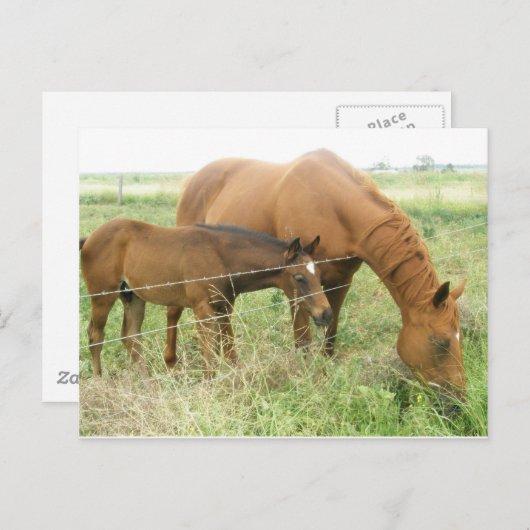 Mutter und Kind Postkarte (Vorne/Hinten)