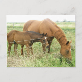 Mutter und Kind Postkarte