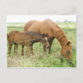 Mutter und Kind Postkarte (Vorderseite)