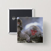 Mutter und Kind von Snow Monkey, Jigokudani, Nagan Button (Vorne & Hinten)