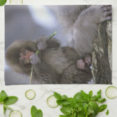 Mutter und Kind von Snow Monkey, Jigokudani, Nagan Handtuch (Gefaltet)