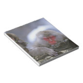 Mutter und Kind von Snow Monkey, Jigokudani, Nagan Notizblock (angewinkelt)