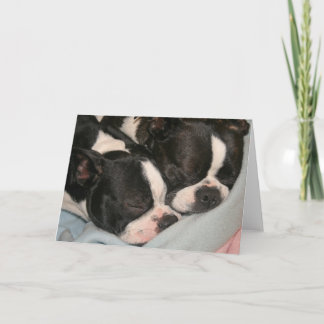 Mutter und Kind Welpen Note Card Boston Terrier Karte