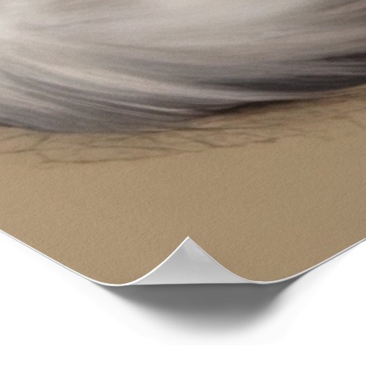 Mutter und Kitten Ragdoll Cat Artwork Herzerwärmun Poster (Ecke)