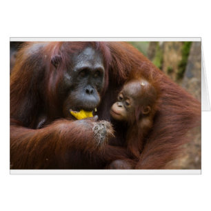 Mutter und Sohn