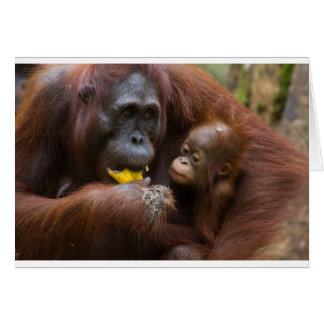 Mutter und Sohn