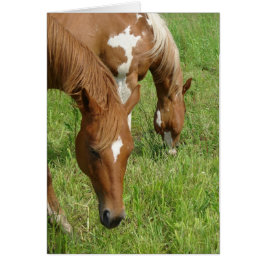 Mutter und Sohn, Pferdeweiden