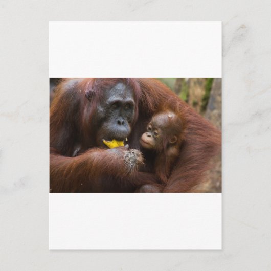 Mutter und Sohn Postkarte (Vorderseite)