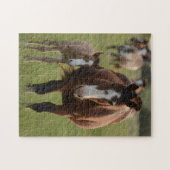 Mutter und Tier-Pferdefotografie Tier Puzzle (Horizontal)